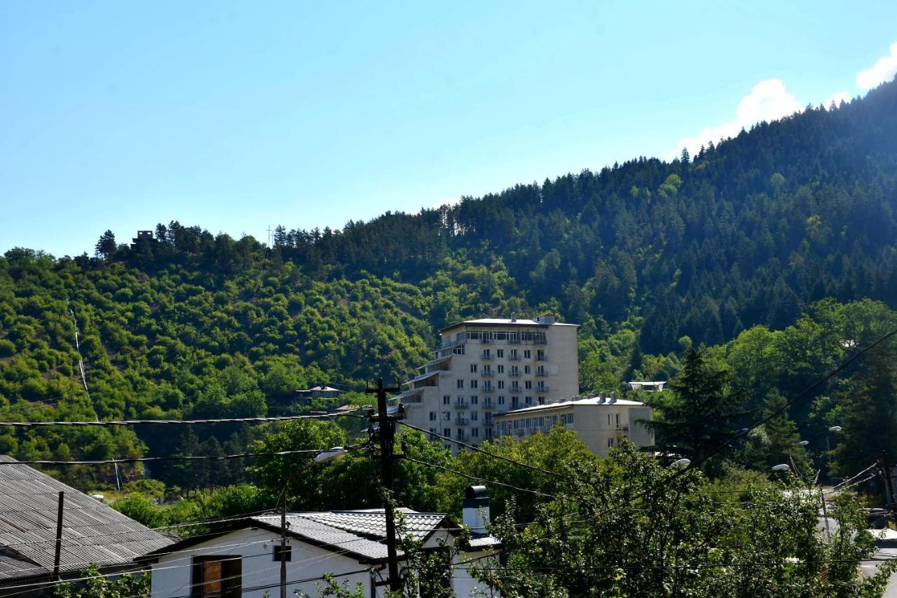 Guest House Metreveli Borjomi Exterior photo