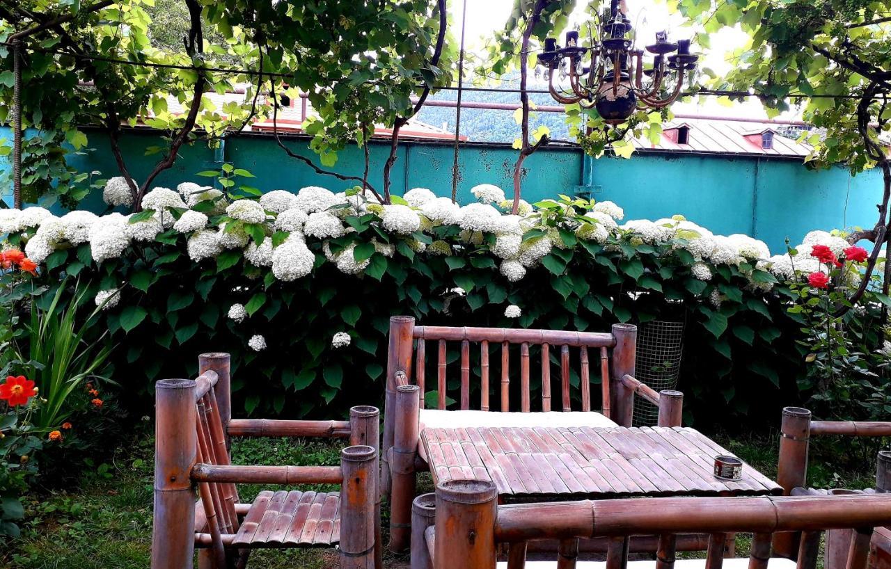 Guest House Metreveli Borjomi Exterior photo
